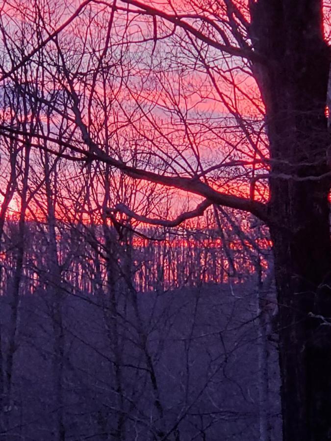 הוילה Burnsville Treehouse Cathedral In Blue Ridge Mountains, Nc מראה חיצוני תמונה