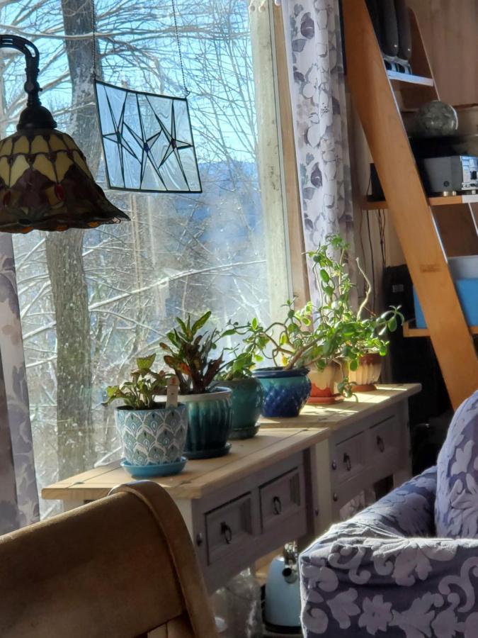 הוילה Burnsville Treehouse Cathedral In Blue Ridge Mountains, Nc מראה חיצוני תמונה