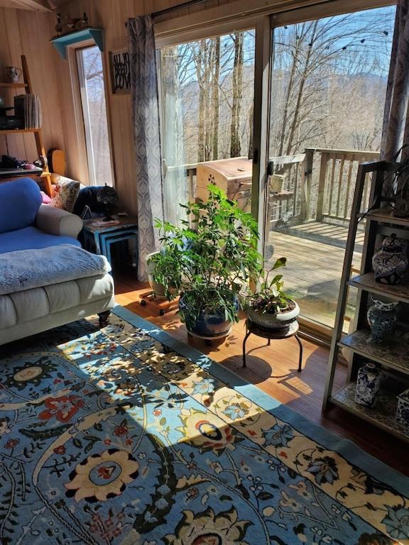 הוילה Burnsville Treehouse Cathedral In Blue Ridge Mountains, Nc מראה חיצוני תמונה