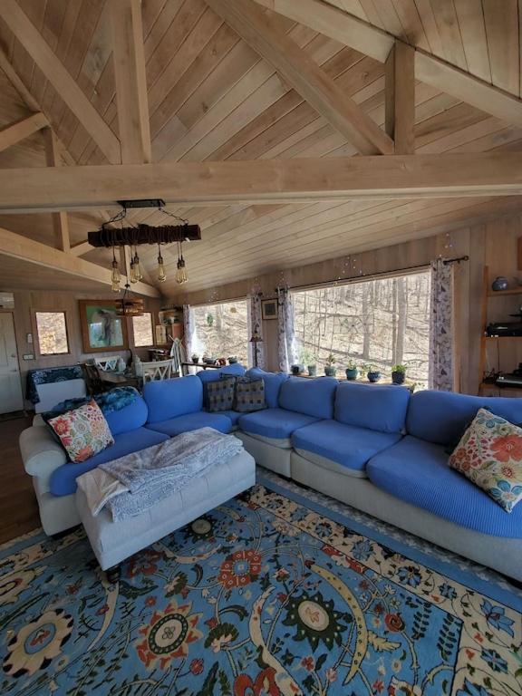 הוילה Burnsville Treehouse Cathedral In Blue Ridge Mountains, Nc מראה חיצוני תמונה
